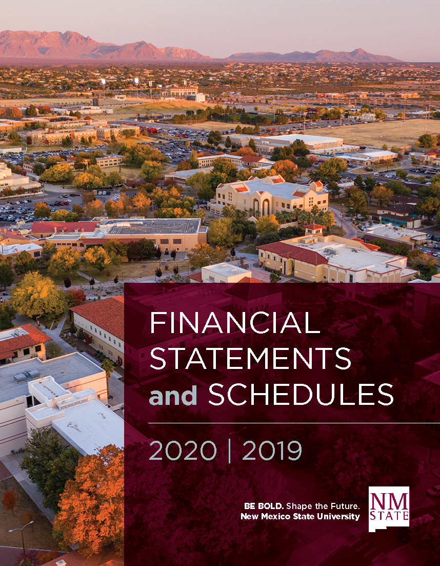 2019-2020 Financial Statements and Schedules